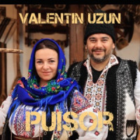 Valentin Uzun - Puisor