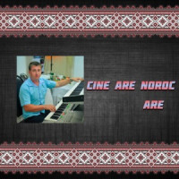 Ion Mardari - Stau in Ploaie Si in Vint
