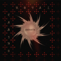Royal Casino - AMINATA