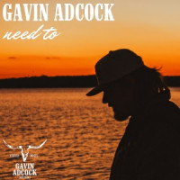 Gavin Adcock - Need To