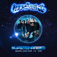 The Offspring - Why Don't You Get A Job