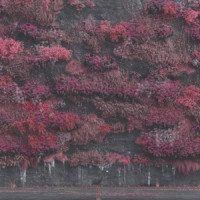 Sleep Token - Emergence