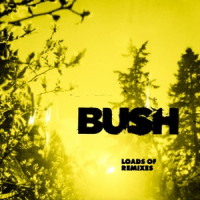 Bush - Swallowed (GLU Remix)