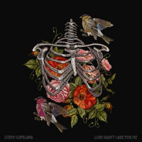 Steph Copeland - Love Didn't Care for Me