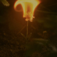 JOA - A Little Kinder