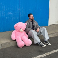 Olson - Alle Risse heilen