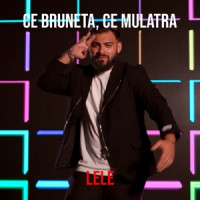 Lele - Ce Bruneta, Ce Mulatra