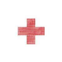 2hollis - poster boy