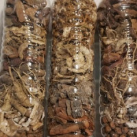 Tim Duzit - Native Remedies