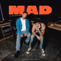 Martin Garrix & Lauv - MAD