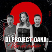 DJ Project & Oana Matache - Vise de zahăr