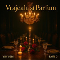 YNY Sebi & Sami G - Vrajeala si Parfum