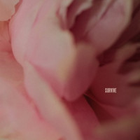 Lewis Capaldi - Survive