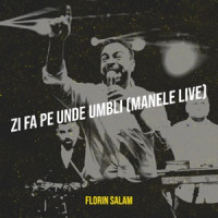 Florin Salam - Zi Fa Pe Unde Umbli (Manele Live)