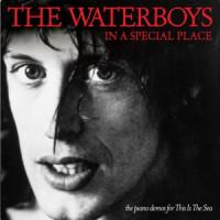 The Waterboys - The Pan Within