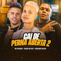 Gordinho Bolado, Mc Daninho & Trovão no Beat - Cai de Perna Aberta 2