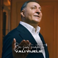 Vali Vijelie - Ba sunt viata ta