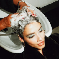 Charlotte OC - Romeo