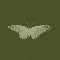 LoVibe. - a good man with a broken heart