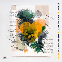 Topic, Mougleta & Vegedream - Albi