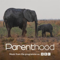 Sam Ryder - Go Steady (From BBC's Parenthood)