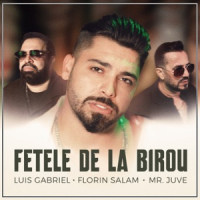 Luis Gabriel, Florin Salam & Mr. Juve - Fetele de la Birou