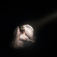 я про рок - ангел-хранитель