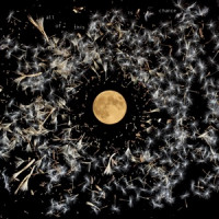 Lisa O'Neill - Goodnight World