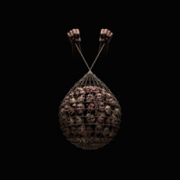 SOFIA ISELLA - Everybody Supports Women