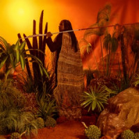 Baker Boy, Thelma Plum, Emma Donovan, Kee'ahn , Jada Weazel - THICK SKIN