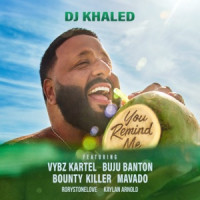DJ Khaled, Vybz Kartel, Buju Banton, Bounty Killer, Mavado, Rorystonelove , Kaylan Arnold - You Remind Me