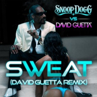 Snoop Dogg & David Guetta - Sweat (Snoop Dogg vs. David Guetta) [Remix]