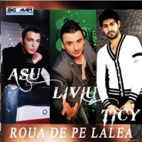 Liviu Guta, Asu' , Ticy - Dali, Dalile