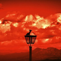 REBOOTED - Baby I Like Your Style