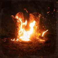 Ben Fuller - Black Sheep