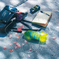 noa - 1000 Days of Moments