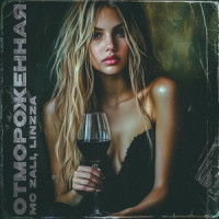 MC Zali & Linzza - Отмороженная