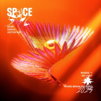 ZERB, Odeal & Victor Ray - Space