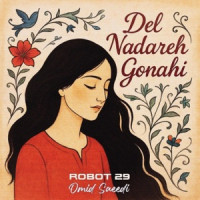 Robot 29, Omid Saeedi - Del Nadareh Gonahi  [Persian Rock Reimagined]