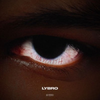 Lybro - Dayouth