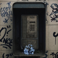 Егор Крид - Незабудки