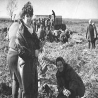 AGROBOGER - Голова колгоспу