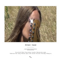 ML Buch - Pan over the hill