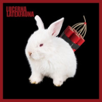 LATEXFAUNA & Adam - Lucerna (Adam Version)